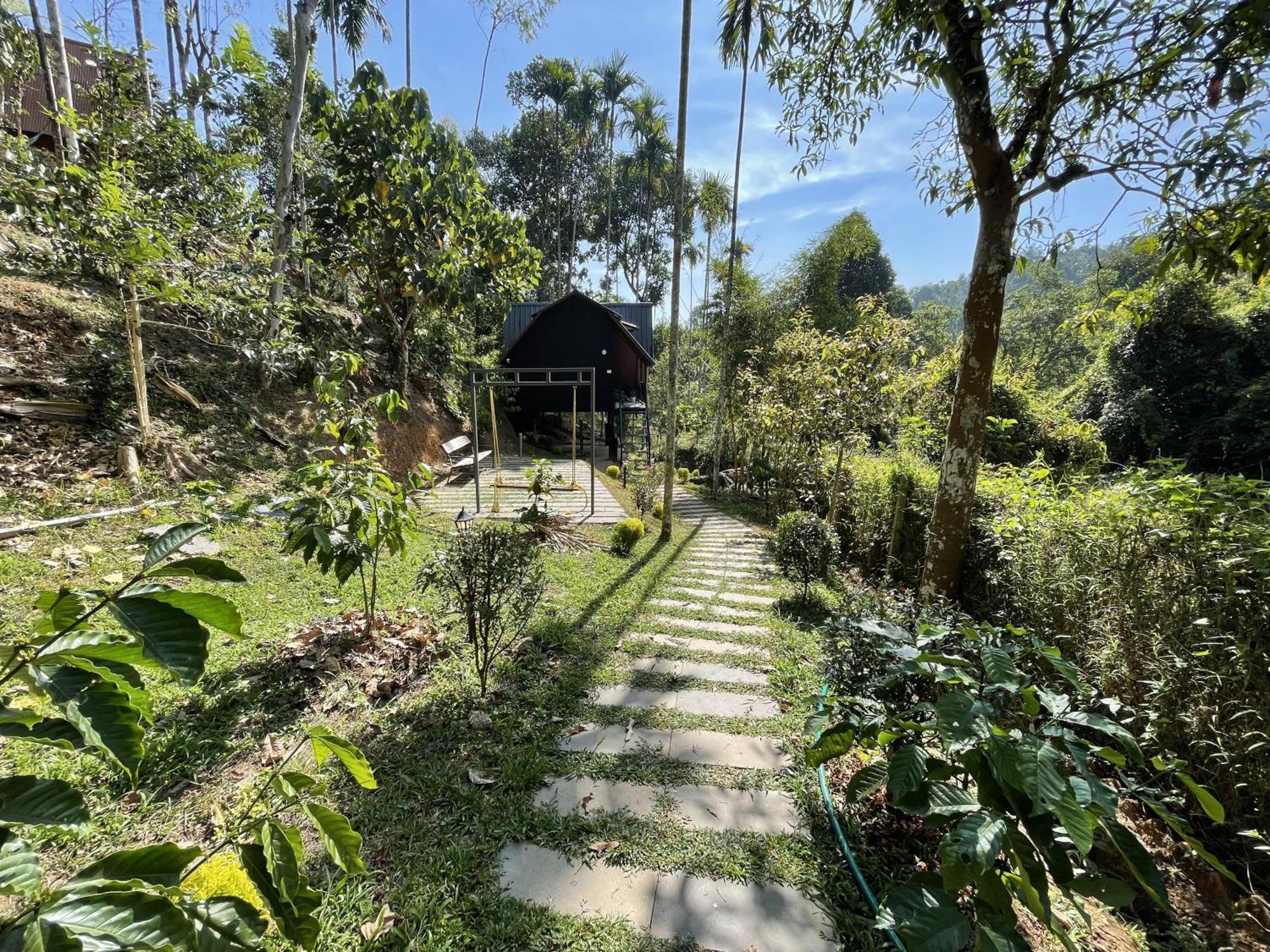 Wetlands Wayanad Pool Resort With Natural Waterfalls Padinjarathara Exterior photo